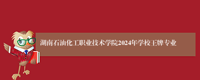 湖南石油化工职业技术学院2024年学校王牌专业