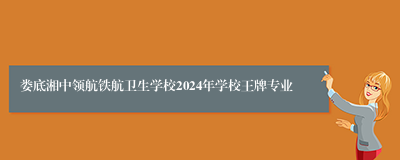 娄底湘中领航铁航卫生学校2024年学校王牌专业