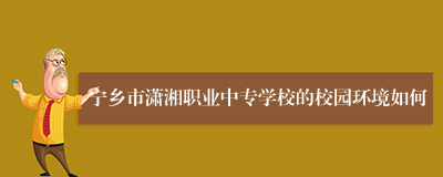 宁乡市潇湘职业中专学校的校园环境如何