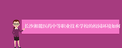 长沙湘麓医药中等职业技术学校的校园环境如何