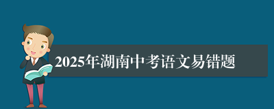 2025年湖南中考语文易错题