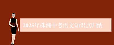 2025年株洲中考语文知识点归纳