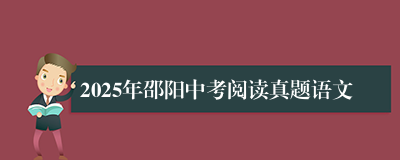 2025年邵阳中考阅读真题语文