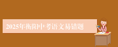 2025年衡阳中考语文易错题