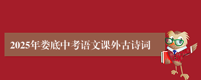 2025年娄底中考语文课外古诗词