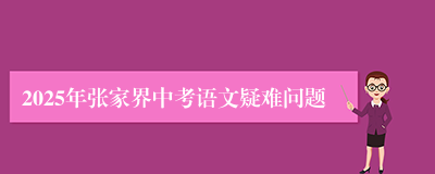 2025年张家界中考语文疑难问题