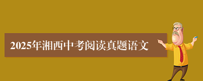 2025年湘西中考阅读真题语文