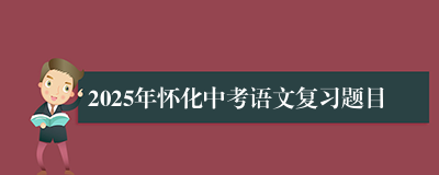 2025年怀化中考语文复习题目