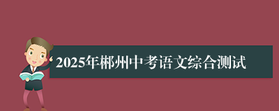 2025年郴州中考语文综合测试