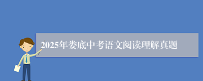 2025年娄底中考语文阅读理解真题