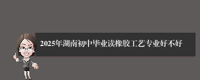 2025年湖南初中毕业读橡胶工艺专业好不好