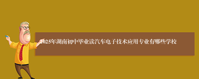 2025年湖南初中毕业读汽车电子技术应用专业有哪些学校