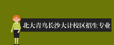 北大青鸟长沙大计校区招生专业