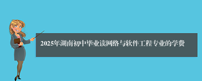 2025年湖南初中毕业读网络与软件工程专业的学费