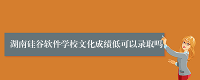 湖南硅谷软件学校文化成绩低可以录取吗