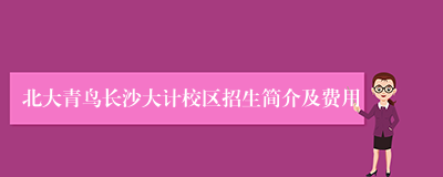 北大青鸟长沙大计校区招生简介及费用