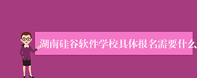 湖南硅谷软件学校具体报名需要什么