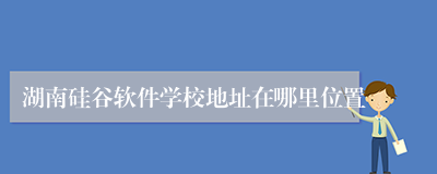 湖南硅谷软件学校地址在哪里位置