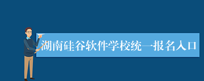 湖南硅谷软件学校统一报名入口