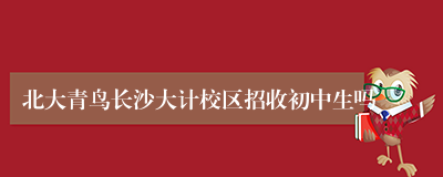 北大青鸟长沙大计校区招收初中生吗