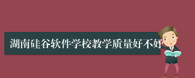 湖南硅谷软件学校教学质量好不好