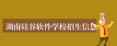 湖南硅谷软件学校招生信息