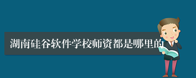 湖南硅谷软件学校师资都是哪里的