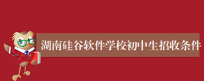 湖南硅谷软件学校初中生招收条件