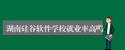 湖南硅谷软件学校就业率高吗