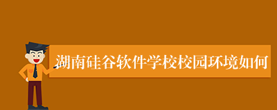 湖南硅谷软件学校校园环境如何