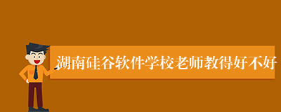 湖南硅谷软件学校老师教得好不好