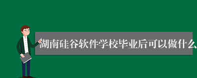 湖南硅谷软件学校毕业后可以做什么