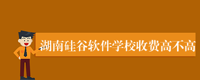 湖南硅谷软件学校收费高不高