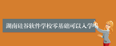 湖南硅谷软件学校零基础可以入学吗