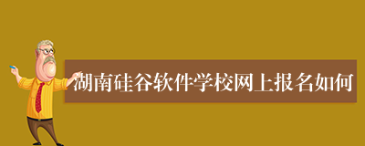 湖南硅谷软件学校网上报名如何