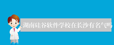 湖南硅谷软件学校在长沙有名气吗