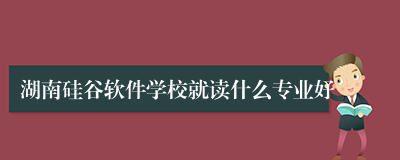 湖南硅谷软件学校就读什么专业好