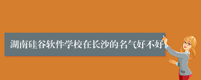 湖南硅谷软件学校在长沙的名气好不好