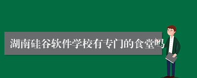 湖南硅谷软件学校有专门的食堂吗