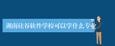 湖南硅谷软件学校可以学什么专业