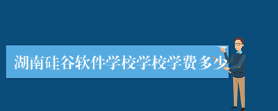 湖南硅谷软件学校学校学费多少