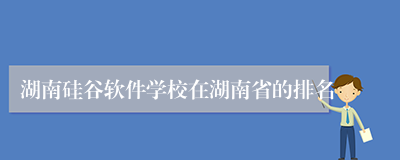 湖南硅谷软件学校在湖南省的排名