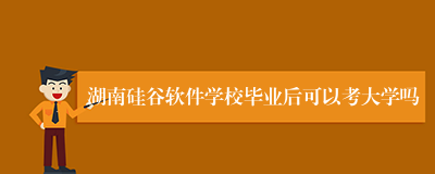 湖南硅谷软件学校毕业后可以考大学吗