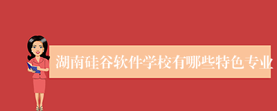 湖南硅谷软件学校有哪些特色专业