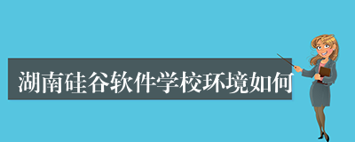 湖南硅谷软件学校环境如何