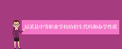 辰溪县中等职业学校的招生代码和办学性质