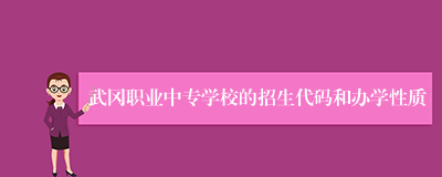 武冈职业中专学校的招生代码和办学性质