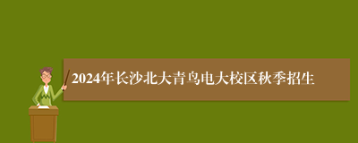 2024年长沙北大青鸟电大校区秋季招生