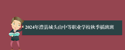 2024年澧县城头山中等职业学校秋季插班班