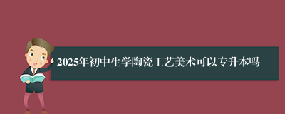 2025年初中生学陶瓷工艺美术可以专升本吗